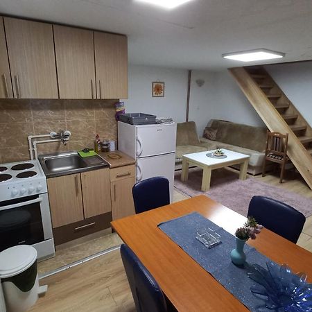Kopaonik Apartman Aleksandar Екстер'єр фото