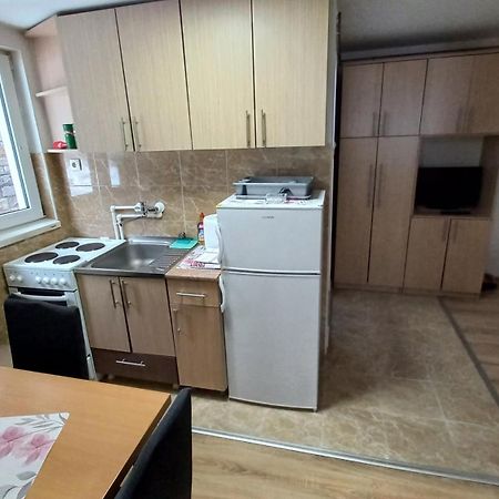 Kopaonik Apartman Aleksandar Екстер'єр фото