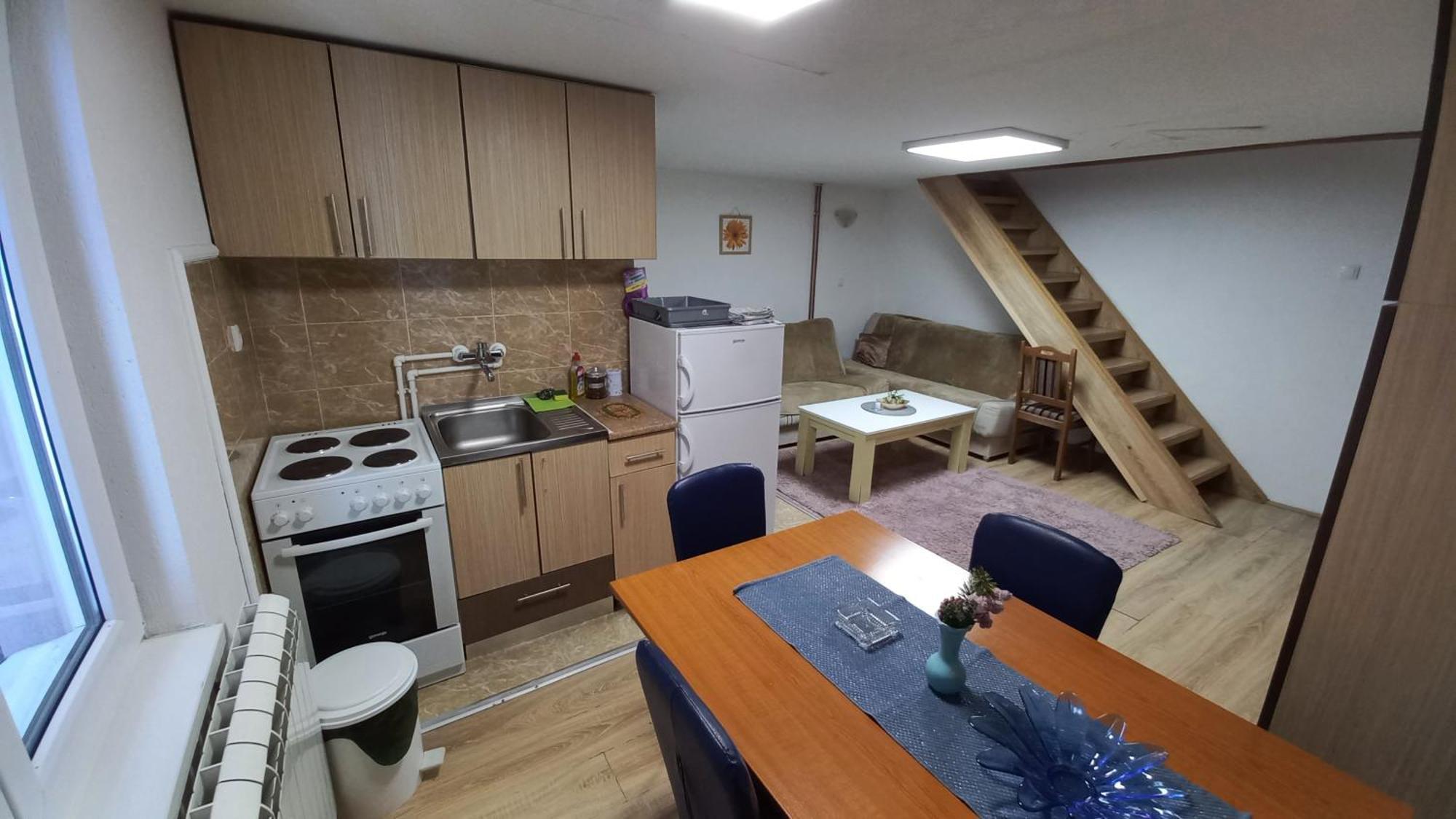 Kopaonik Apartman Aleksandar Екстер'єр фото